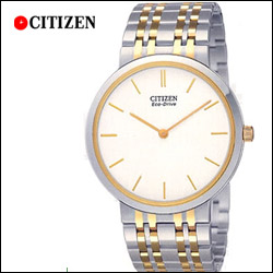 "Citizen AR1054-79A Watch - Click here to View more details about this Product
